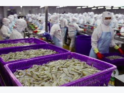 Shrimp exports grow 21 percent up to August