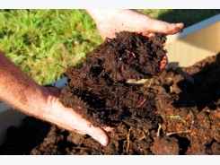 New Study Shows Organic Farming Traps Carbon in Soil to Combat Climate Change