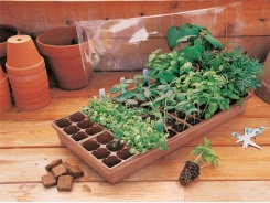 Expert Tips for Sowing Vegetables Seeds Successfully in Dry Weather