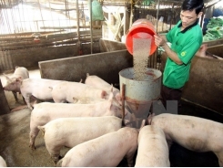 Cooperation to enhance animal feed supply chain management