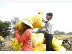 Rice farmers rue missing out on price rise