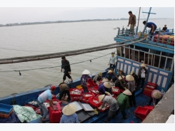 Vietnam seafood mulls action on EU warning