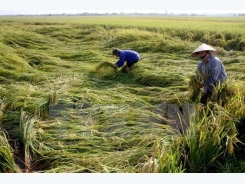 Measures sought to develop agriculture in northwestern region