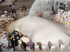More opportunity for Vietnam rice to enter Sri Lanka, Philippines
