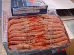 Chinese direct shrimp imports from Ecuador overtake Argentina