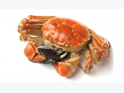 Crab makes debut on certification scheme