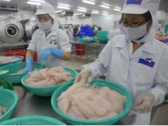 Leading seafood export to sell golden goose