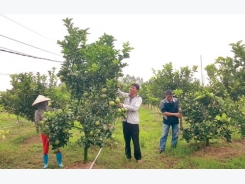 Làm giàu ở nông thôn: Biến ruộng trũng thành trang trại “vàng”