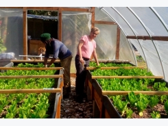 Aquaponics Farmers Band Together to Set Their Industry Apart