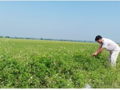 Làm nông nghiệp sạch với mô hình 