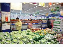 Vegetables emerge as major export earner