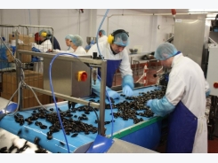Shellfish sector must increase mussel mass