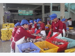 Ho Chi Minh City helps Binh Thuan consume safe agricultural products