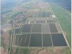 The importance of iron in aquaculture systems