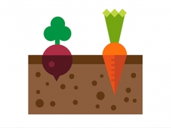 Top 5 tech innovations in agriculture