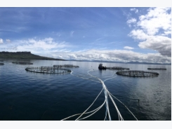 Aquaculture equipment providers form new JV
