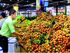 Hanoi project yields fruit for consumers