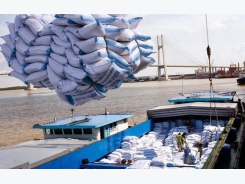 Bứt phá xuất khẩu gạo