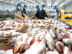 Demand for VN seafood on the rise