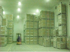 How to improve poultry processing plant storage logistics