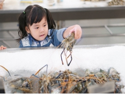 How we can help children reach for seafood