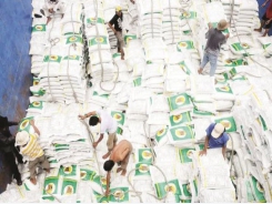 Make effort to remove the difficulties of rice export