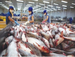 Seafood products meet barriers to supermarket entry