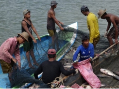 Study backs benefits of small-scale commercial aquaculture