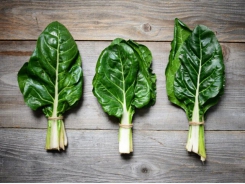 7 Amazing Benefits Of Swiss Chard