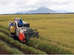 Southern region hits target for rice harvest