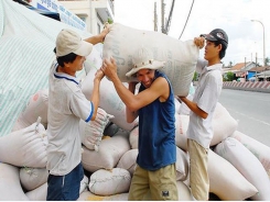 Vietnam finds way to overcome challenges in rice export