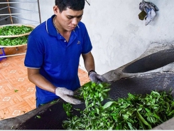 Ethnic minority farmer brings tea trade online