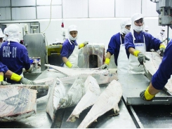 Fishery enterprises are in trouble because of IUU “yellow card'