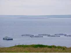 Salmon farm breathes new life into remote island community