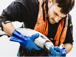 Scottish salmon farmer pumps more funds into gill health research