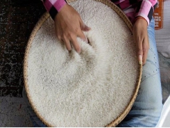China to import more rice from Cambodia