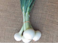 Marketing options for small-scale onion growers