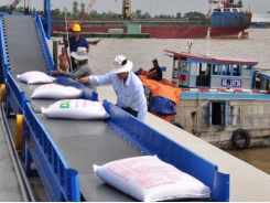 Vietnam seeks to boost demand for its rice exports