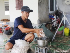 Cho tôm ăn tỏi, nông dân Nghệ An thu lãi nửa tỷ đồng mỗi vụ