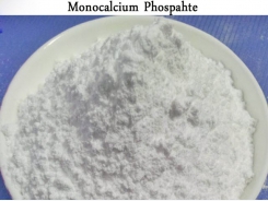 Vai trò mới của Monocalcium Phosphate đối với cá