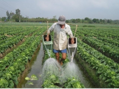 Farmers in Mekong delta earn more thanks to agricultural restructuring