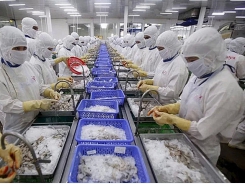 US reduces anti-dumping duties on Vietnamese pangasius