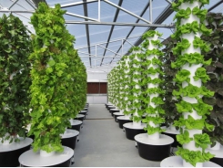 Mê sống xanh - sáng tạo máy trồng rau khí canh