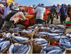 Seafood production reached 5,964 thousand tons in the first nine months of 2019, up 5.4%