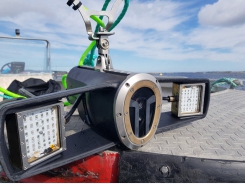 Farmers deploy new high-tech tools against sea lice