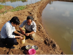 Nuôi ghép tôm với các đối tượng khác