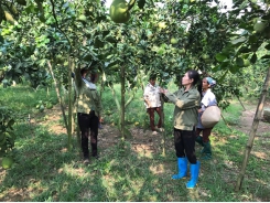 Woman turns barren land into organic farm