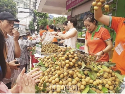 Fruits and vegetables export sharply declines