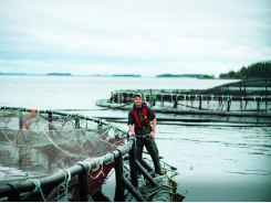 Salmon farmers challenge escape claim “hyperbole”