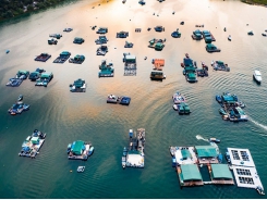Phát triển kinh tế biển từ thủy sản